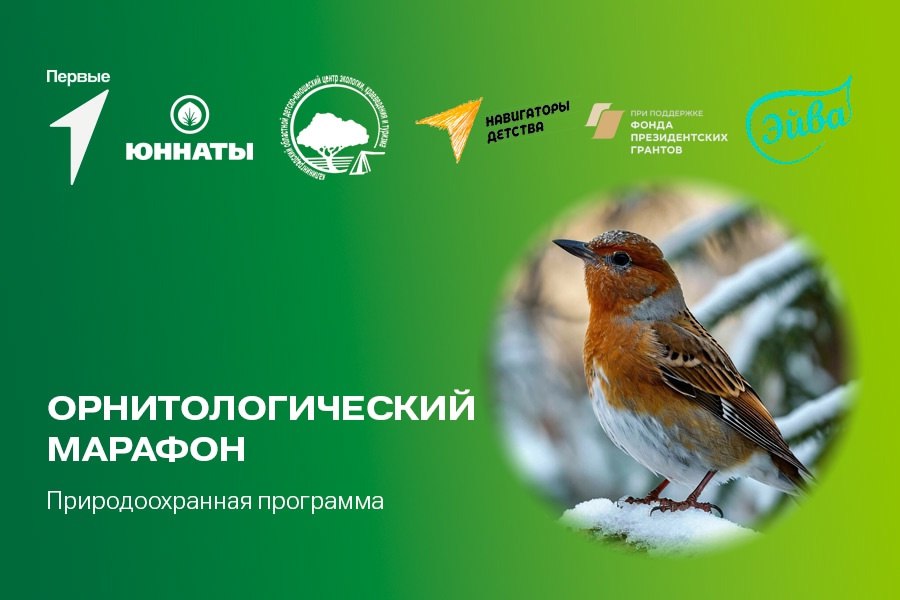 В гимназии 32 состоялся &amp;quot;Орнитологический марафон&amp;quot;.